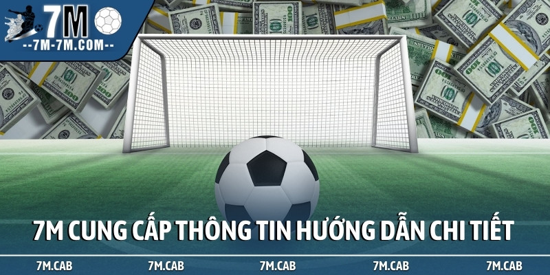 7M cung cấp thông tin hướng dẫn chi tiết