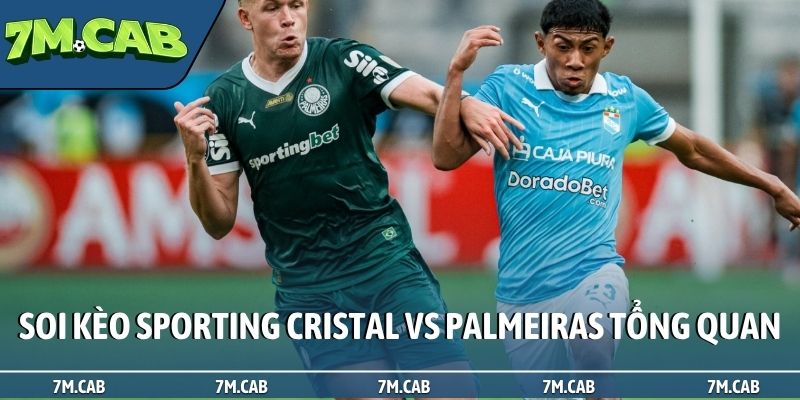 Soi kèo Sporting Cristal vs Palmeiras tổng quan tại bảng F