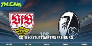 Soi kèo Stuttgart vs Freiburg, 1h45, 24/4, Cúp Quốc gia Đức