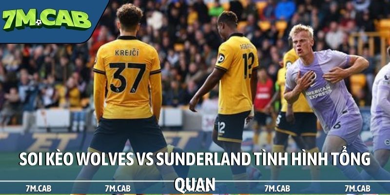 Soi kèo Wolves vs Sunderland tình hình tổng quan