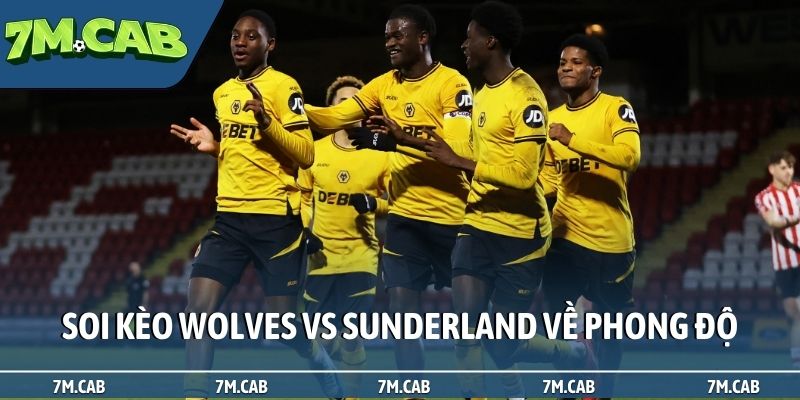 Soi kèo Wolves vs Sunderland về phong độ